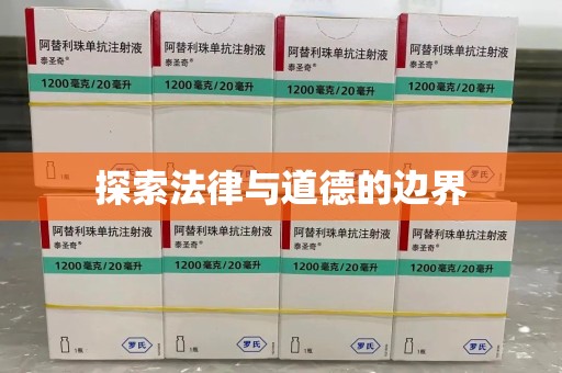 蚌埠探索法律与道德的边界