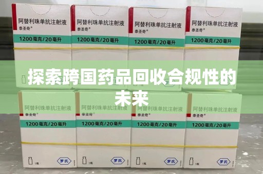 蚌埠探索跨国药品回收合规性的未来