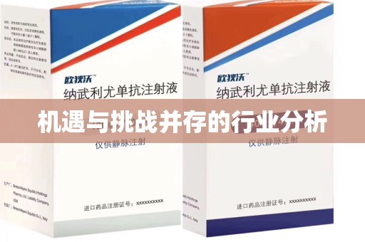 蚌埠机遇与挑战并存的行业分析