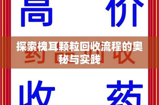蚌埠探索槐耳颗粒回收流程的奥秘与实践