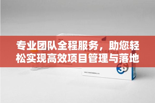 蚌埠专业团队全程服务，助您轻松实现高效项目管理与落地