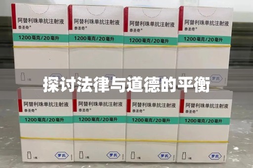 蚌埠探讨法律与道德的平衡